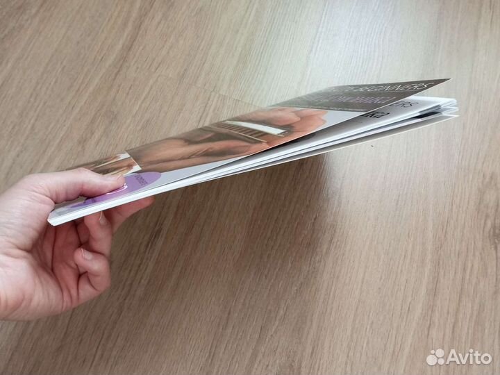 Самоучитель игры на губной гармошке