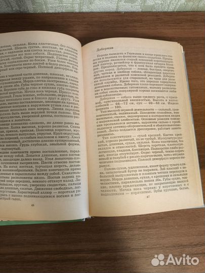 Книга про собак