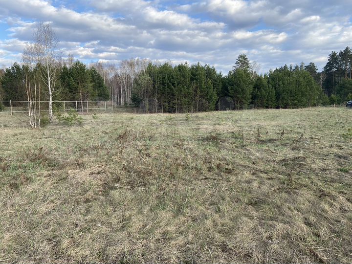 Участок 15 сот. (ИЖС)