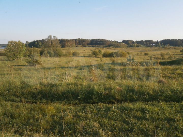 Участок 12 сот. (ИЖС)