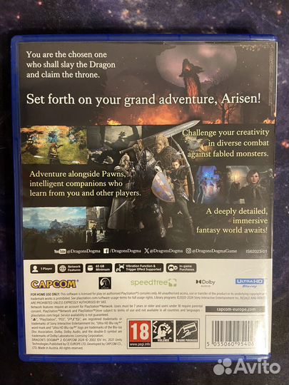 Dragons dogma 2 ps5