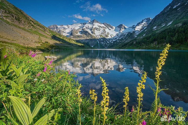 Тур на Мультинские озера. Горный Алтай