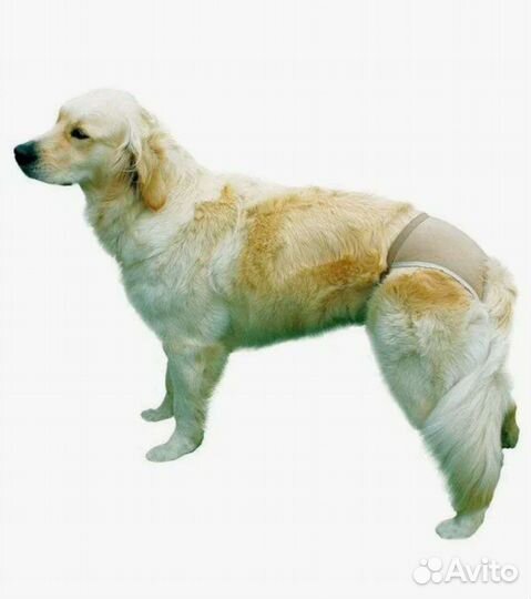 Белье для животных