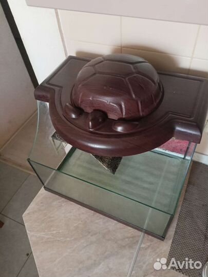 Черепаший аквариум