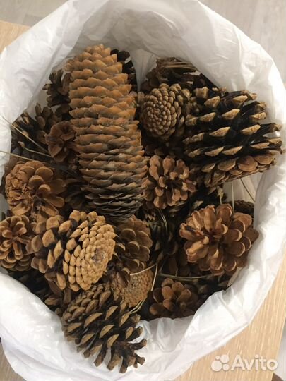 Шишки для творчества поделок