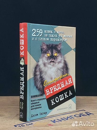 Осторожно, вредная кошка