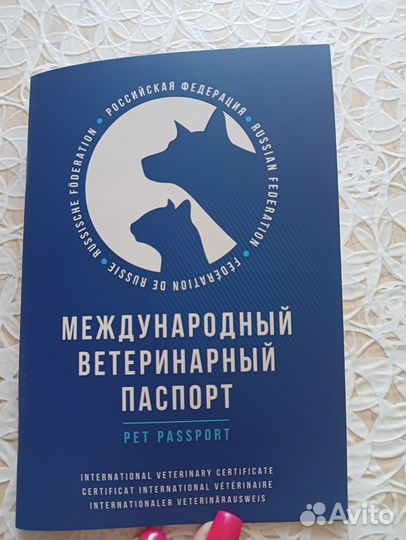 Щенки сао(алабай)