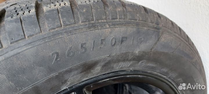 Dunlop Winter Sport 5 265/50 R19