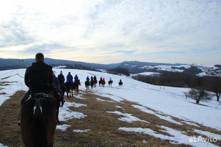 Конные прогулки