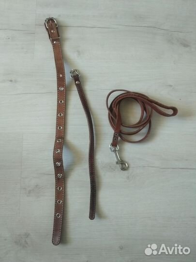 Поводки, ошейники для собак