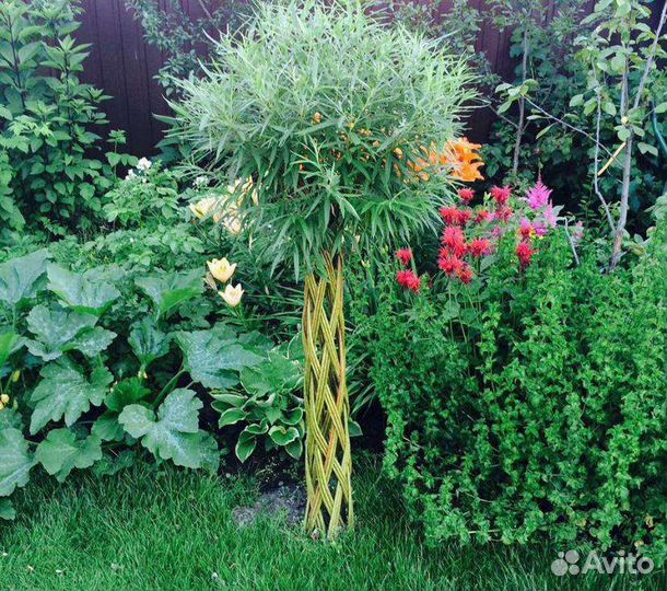 Деревья плетеные