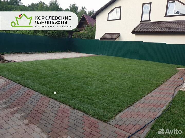 Рулонный газон