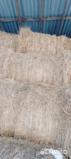 Продам сено в тюках