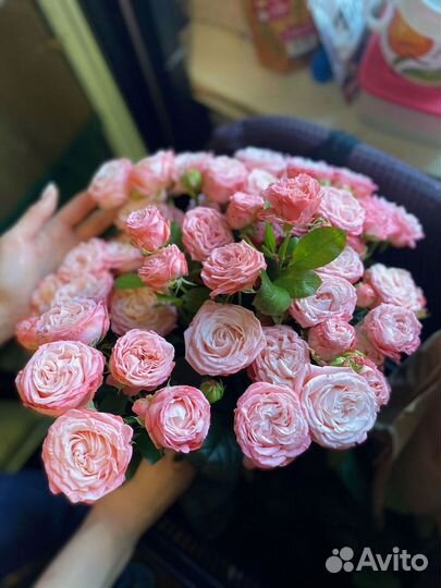 Розы кустовые премиум