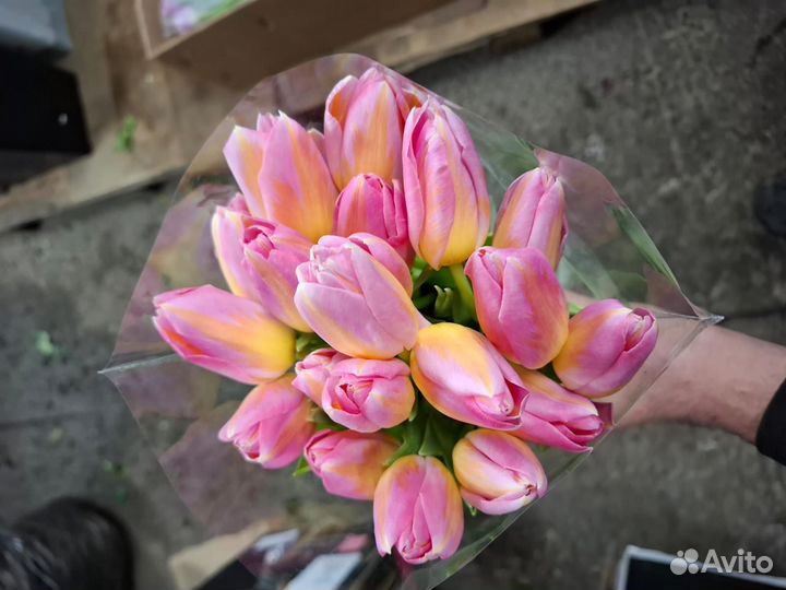 Тюльпаны букет