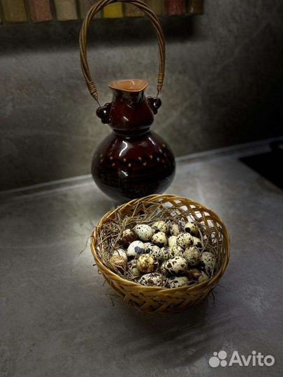 Яйца перепелиные домашние