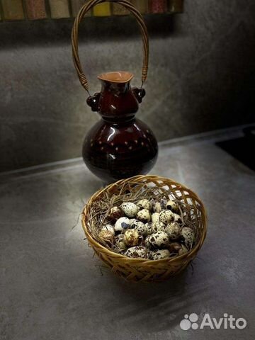 Яйца перепелиные домашние