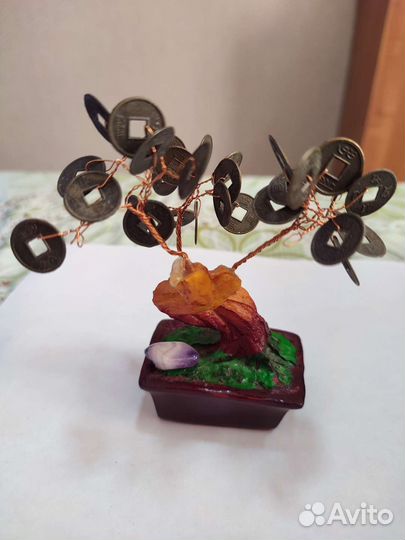 Денежное дерево