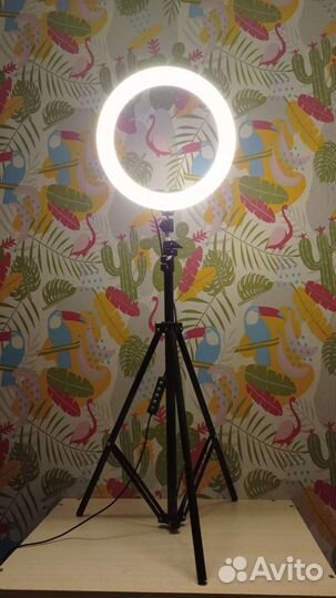 Кольцевая лампа, без штатива