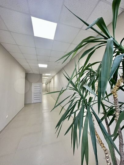 Свободного назначения, 40 м2