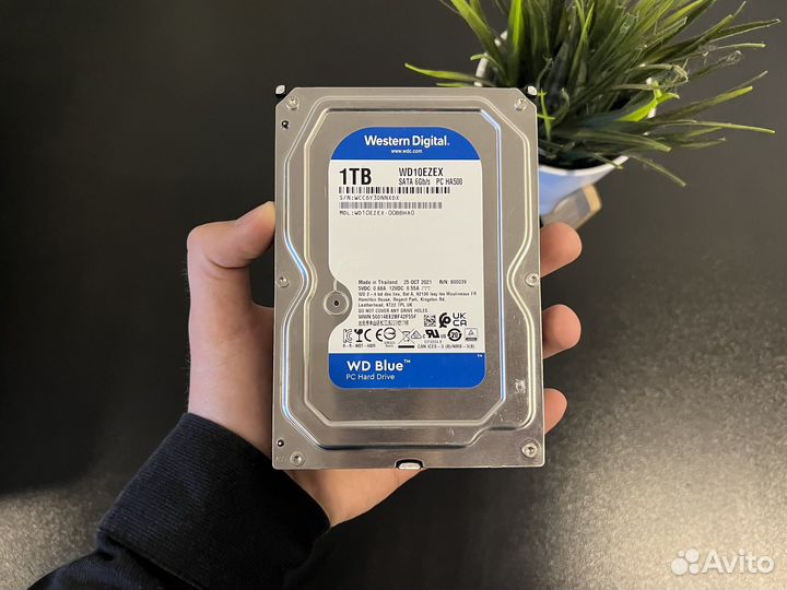Жесткий диск WD Blue 1tb