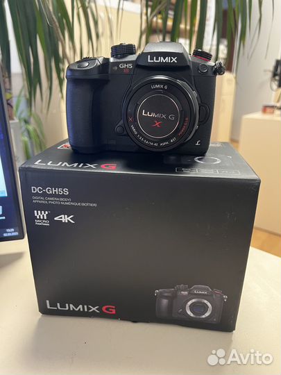 Фотоаппарат Panasonic Lumix DC-GH5S kit 14-42