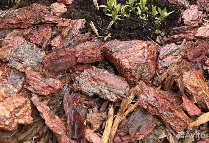 Кора лиственницы в Подольске с доставкой