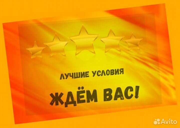 Наборщик заказов Без опыта Еженедельные выплаты