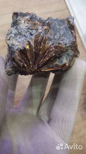 Астрофиллит