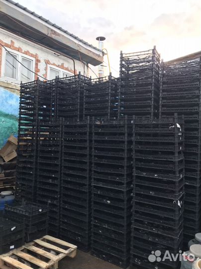 Пластиковые ящики для овощей бу