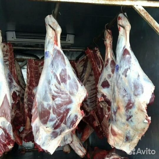 Мясо говядина