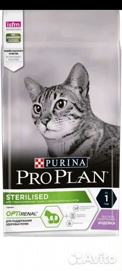 Монж Б Р А В Е К Т О