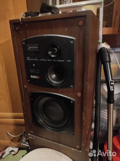 35ас-208 корвет пара