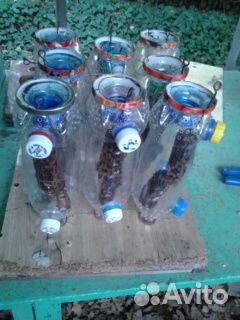 Бутылочный улей cуперджинн комплект