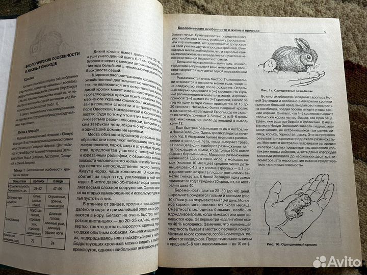 Энциклопедия травоядных пушных животных