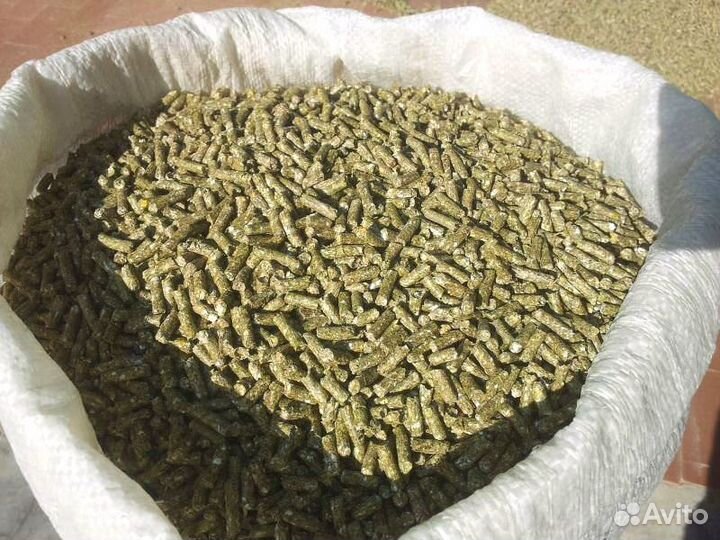 Клевер Люцена