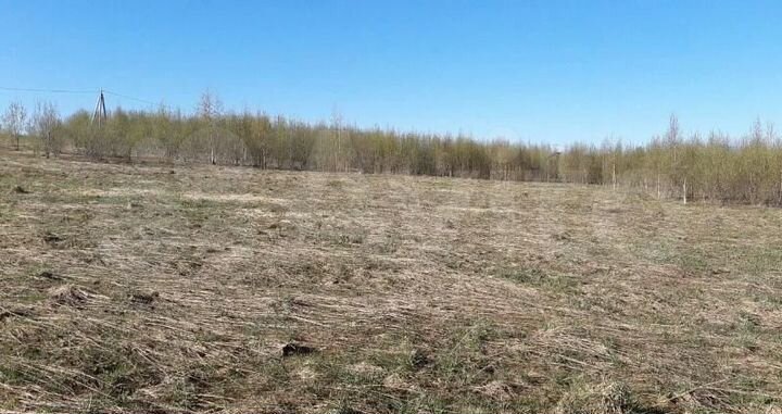 Участок 1,2 га (СНТ, ДНП)