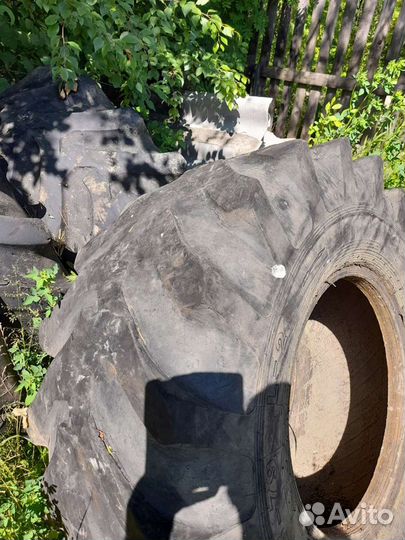 Белшина Бел-100 21.5/25 R4 20B