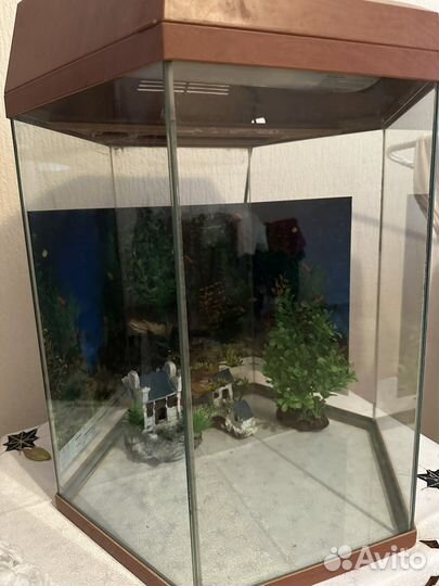 Аквариум