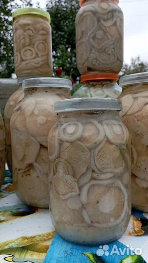 Белый груздь, белый гриб сушёный, маринованный