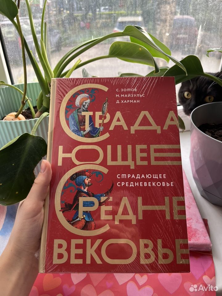 Книга Страдающее средневековье