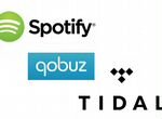 Подписка Spotify, Qobuz Hi res, Tidal пожизненно