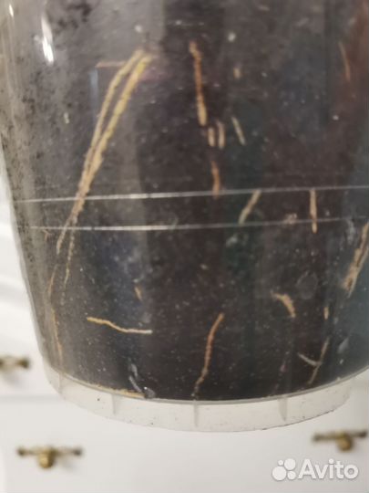 Сансевиерия Лауренти