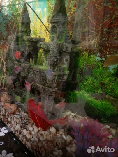 Аквариум в комплекте на 120 литров