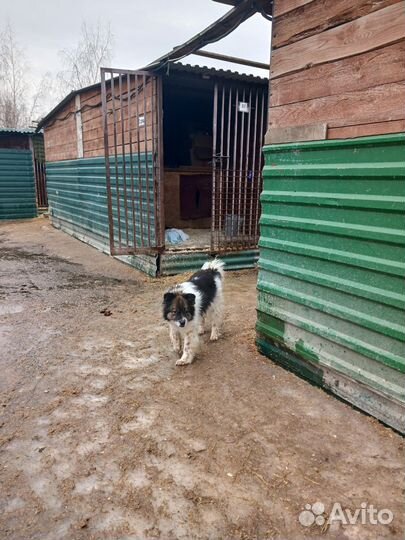 Старички ждут гостей в приюте