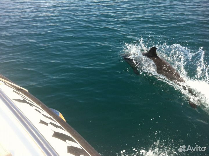 Морская прогулка / выход на рыбалку