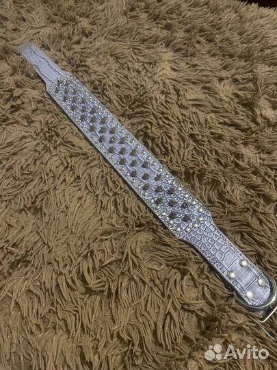 Ошейники для собак