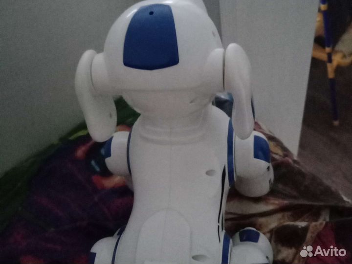 Собака робот