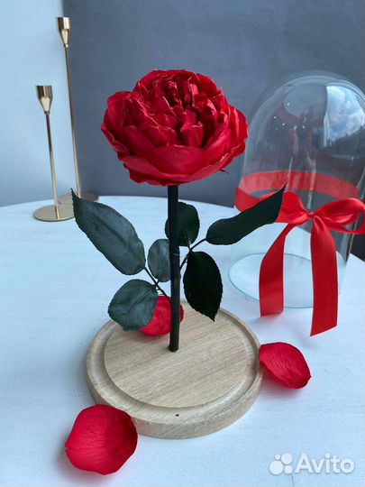 Подарок девушке на день рождения