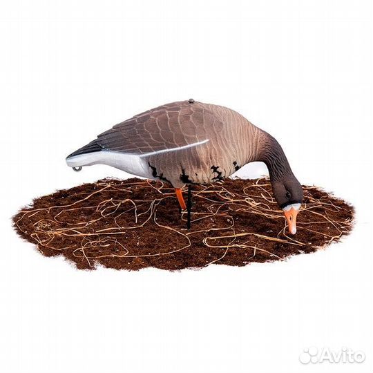 Чучела гусей белолобый softplast 3D